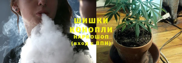 дживик Магас