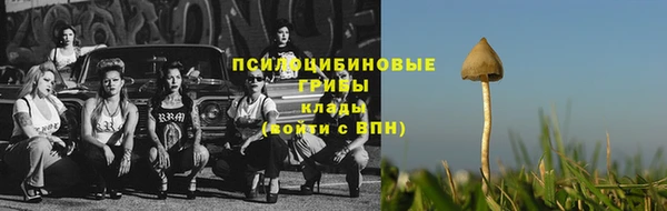 мяу мяу кристалл Медвежьегорск